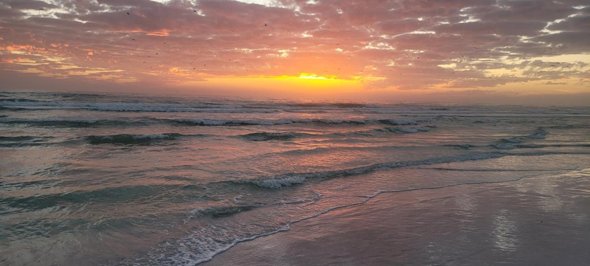 Siesta Key Condo - On The Water ! Exteriér fotografie